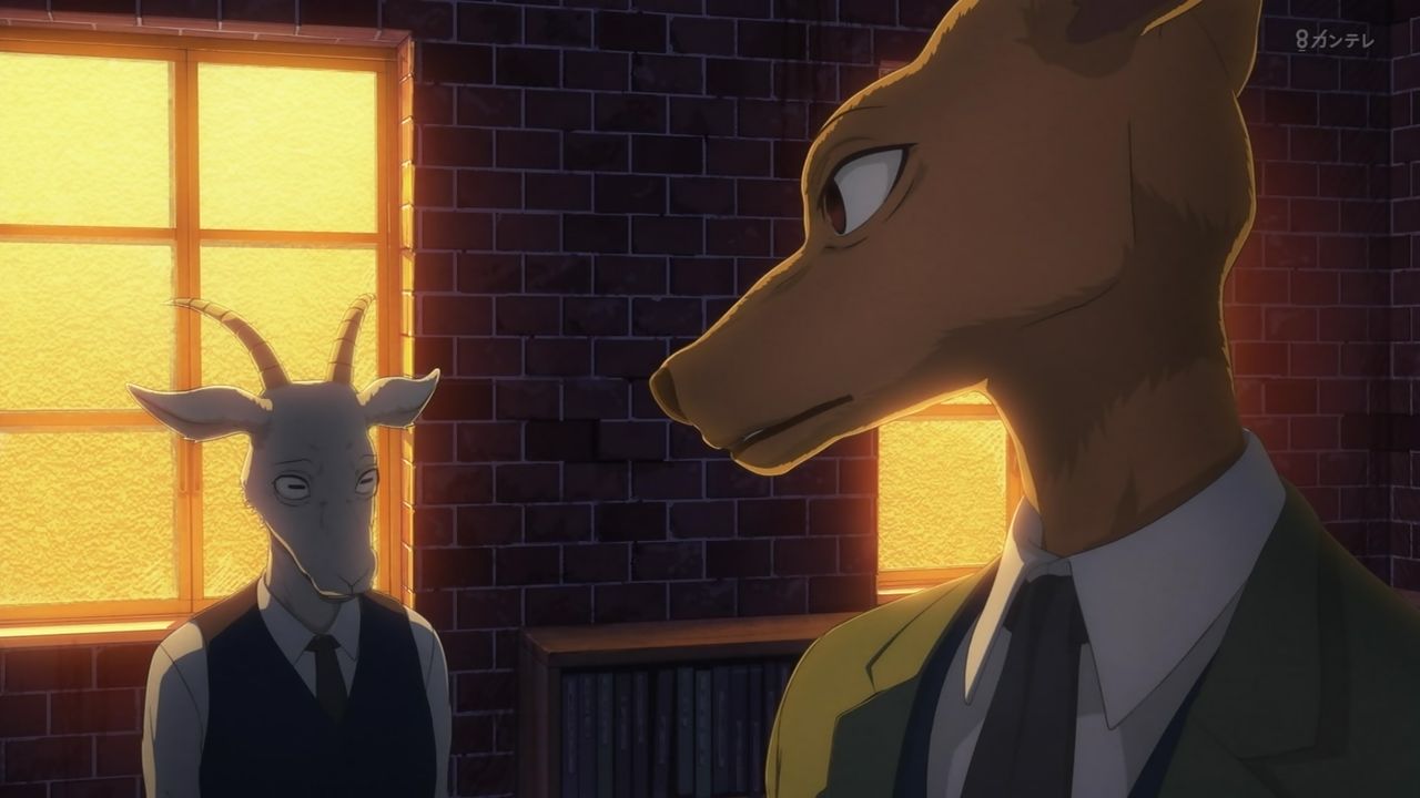 Beastars 1話感想 原作組として楽しめる良い出来 秩序と本能 暴力と理性 並び鬩ぎ合う世界で彼と彼女は出会った 画像 ビースターズ ポンポコにゅーす ファン特化型アニメ感想サイト Beastars 1話感想 原作組として楽しめる良い出来 秩序と本能 暴力と理性 並び鬩ぎ合う世界で彼と彼女は出会った 画像 ビースターズ ポンポコにゅーす ファン特化型アニメ感想サイト