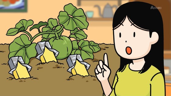 「百姓貴族」33話感想 (7)