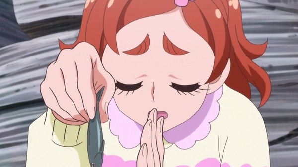 GO!プリンセスプリキュア (24)