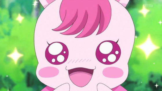 「ヒーリングっど♥プリキュア」14話感想 (68)