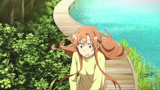 「SAO ソードアート・オンライン」11話感想 (37)