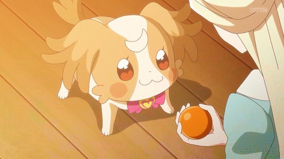 「わんだふるぷりきゅあ!」わんぷり 36話感想 (22)
