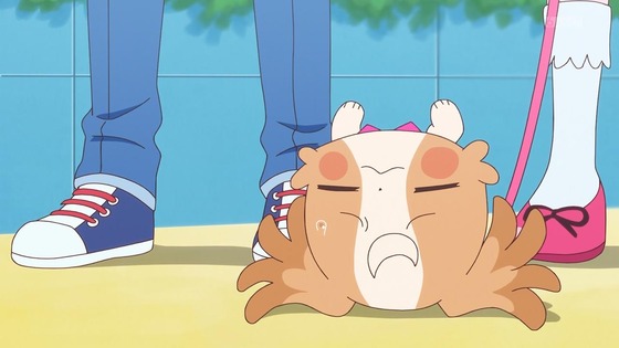 「わんだふるぷりきゅあ！」わんぷり 19話感想 (9)