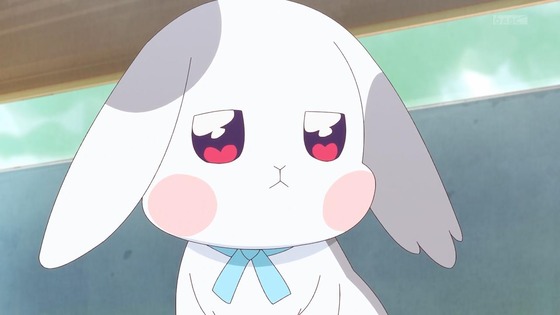 「わんだふるぷりきゅあ!」わんぷり 6話感想 (36)