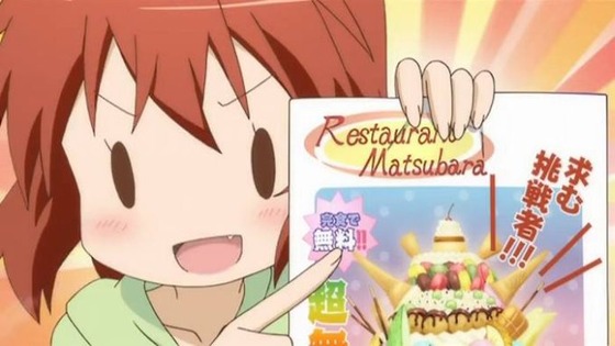 ハロー!!きんいろモザイク (11)