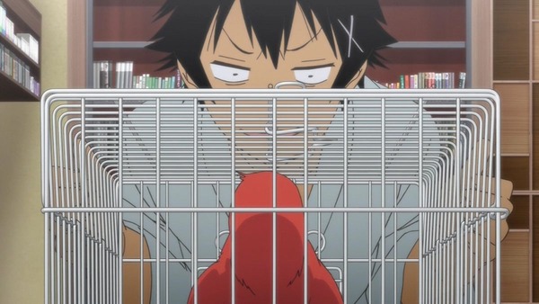 ニセコイ:(2期) (39)