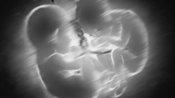 「呪術廻戦」51話感想 (39)