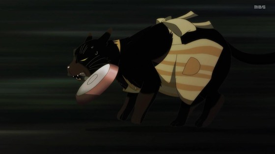 「デキる猫は今日も憂鬱」5話感想 (116)