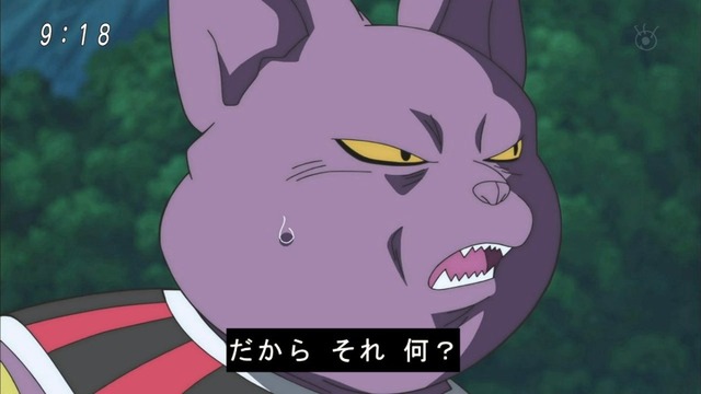 「ドラゴンボール超」 (17)