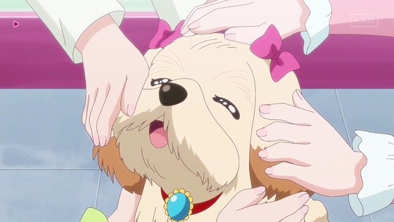 「名探偵プリキュア！」32話感想 (16)