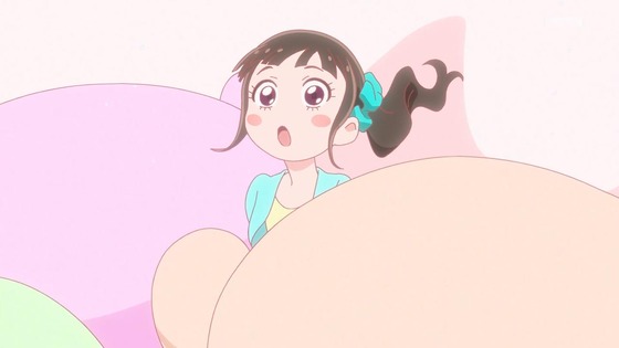 「わんだふるぷりきゅあ!」わんぷり 17話感想 (13)