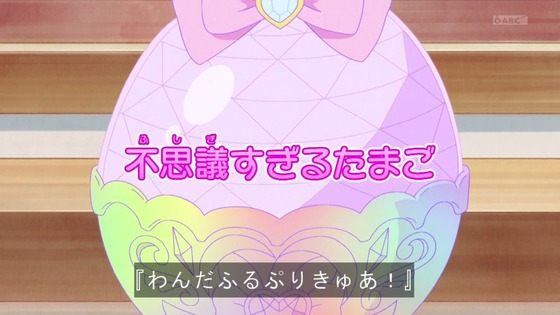 「わんだふるぷりきゅあ!」わんぷり 23話感想 (81)