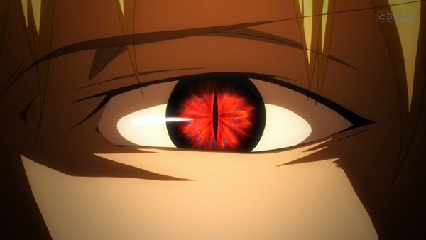 FateZero (35)