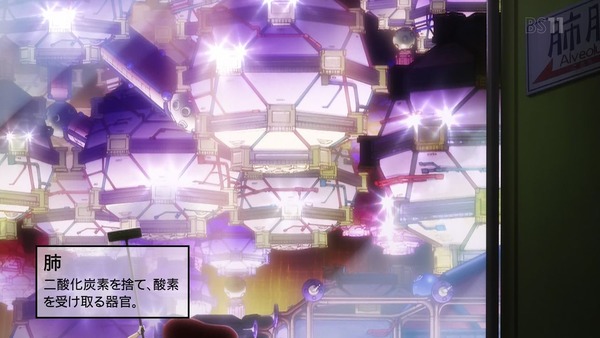 「はたらく細胞」8話感想 (29)