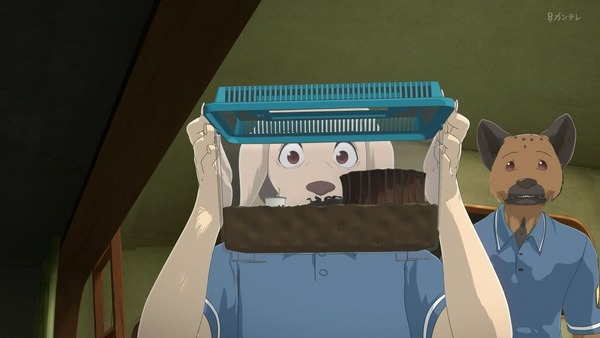 「BEASTARS ビースターズ」第11話 感想 画像 (5)