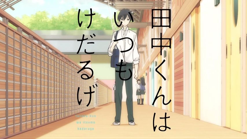 田中くんはいつもけだるげ 5話感想 可愛い有能乙女 白石さんの恋を応援するみゃーの師匠 画像 ポンポコにゅーす ファン特化型アニメ感想サイト 田中くんはいつもけだるげ 5話感想 可愛い有能乙女 白石さんの恋を応援するみゃーの師匠 画像 ポンポコにゅーす ファン特化型アニメ感想サイト