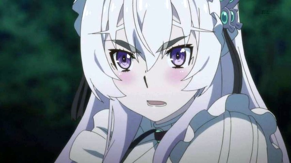 チャイカ (12)