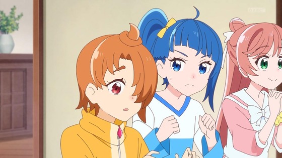 「ひろがるスカイ!プリキュア」ひろプリ 13話感想 (5)