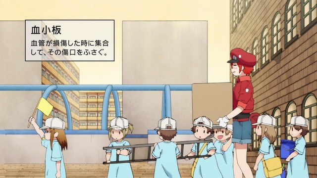 「はたらく細胞」12話感想 (32)