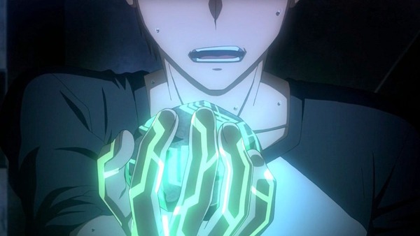 Fate (23)