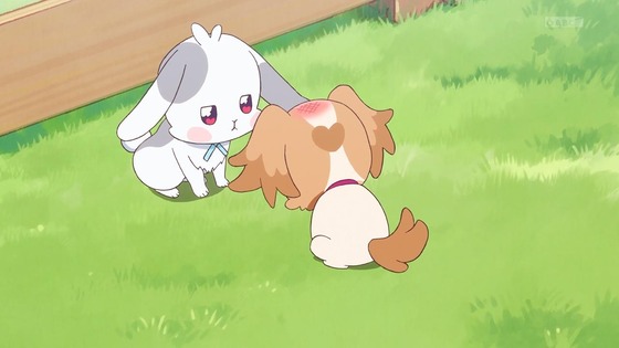 「わんだふるぷりきゅあ!」わんぷり 6話感想 (30)