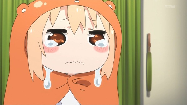 干物妹！うまるちゃん (14)