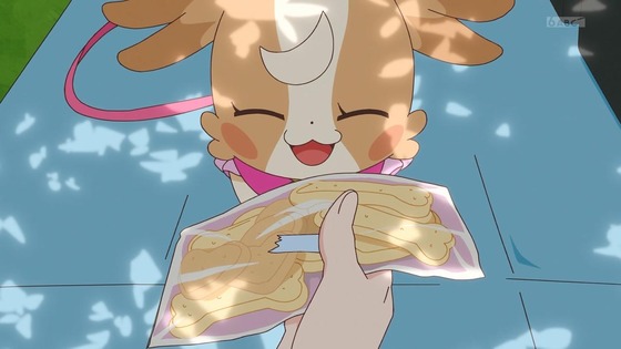 「わんだふるぷりきゅあ!」わんぷり 17話感想 (19)