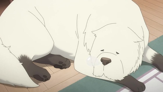 「SPY×FAMILY」50話感想 (58)