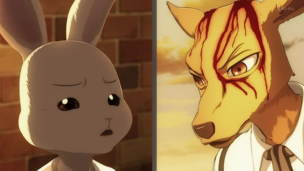 「BEASTARS」7話感想 (23)