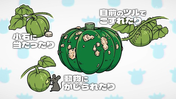 「百姓貴族」32話感想  (15)