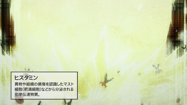 「はたらく細胞」5話感想 (29)