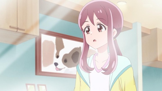 「わんだふるぷりきゅあ!」わんぷり 33話感想 (28)