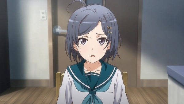 やはり俺の青春ラブコメはまちがっている (5)
