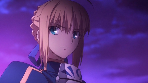 FateZero  (33)