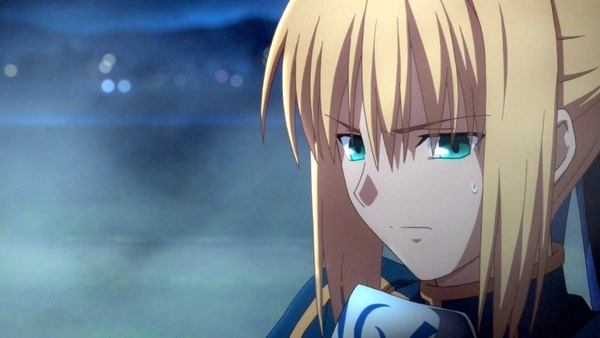 FateZero (40)
