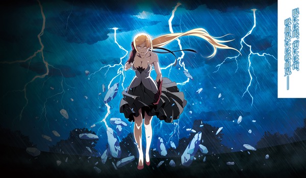 劇場版「傷物語」<Ⅱ熱血篇> (2)