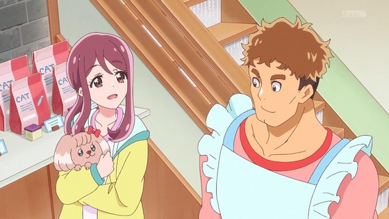「わんだふるぷりきゅあ!」わんぷり 33話感想 (50)