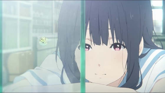 映画「リズと青い鳥」感想 (228)