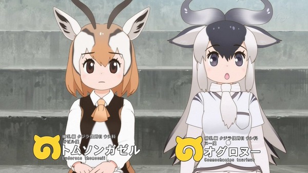 「けものフレンズ2」第8話感想 (33)