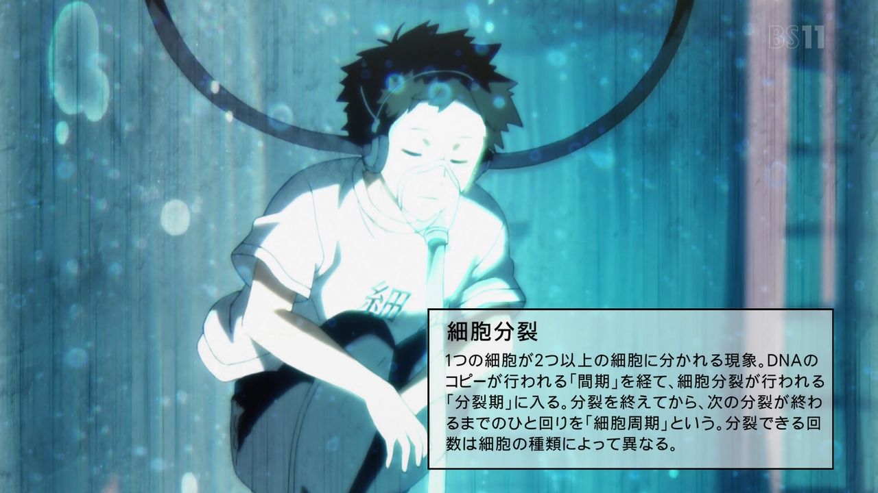 はたらく細胞 特別編 風邪症候群 感想 体内ドタバタコメディが帰ってきた 季節感のある問題もスッキリ解決 実況 画像まとめ ポンポコにゅーす ファン特化型アニメ感想サイト はたらく細胞 特別編 風邪症候群 感想 体内ドタバタコメディが帰ってきた 季節感のある問題もスッキリ解決 実況 画像まとめ ポンポコにゅーす ファン特化型アニメ感想サイト