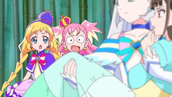 「わんだふるぷりきゅあ!」わんぷり 17話感想 (84)