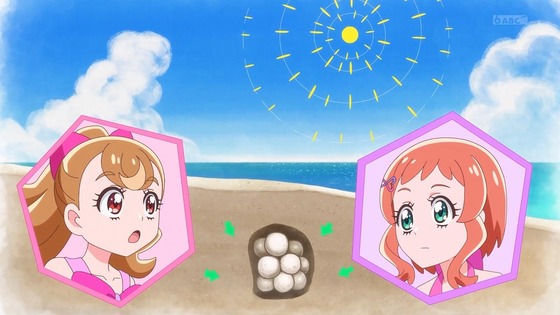 「わんだふるぷりきゅあ!」わんぷり 25話感想 (30)