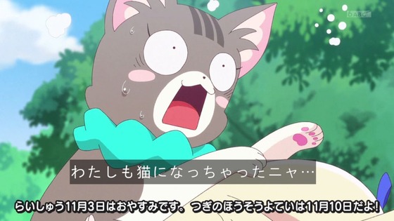 「わんだふるぷりきゅあ!」わんぷり 39話感想 (55)
