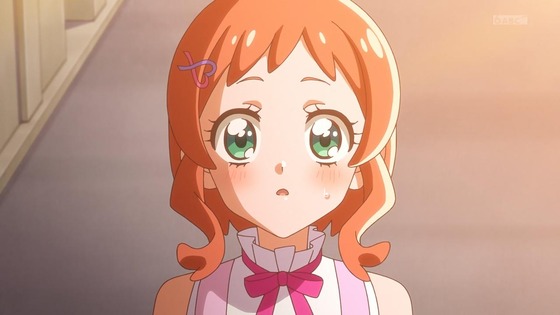 「わんだふるぷりきゅあ!」わんぷり 36話感想 (8)