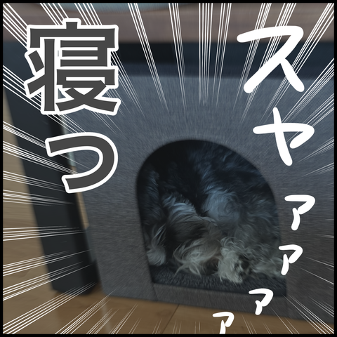 DA30C068-86A6-4AB4-B8B2-41A2D46D3B53