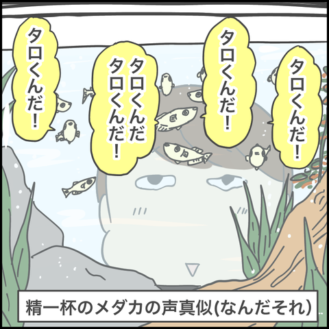 C92D7175-F94B-49B1-ACE5-28037A2D8EEA