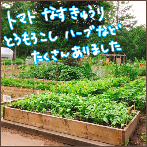 B2852ED9-C76F-4D96-BE13-16AB0F6E2B8D