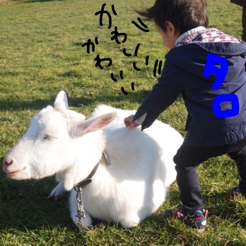 {D6EEB6A5-7D1E-4EC4-B2FE-B974D2BFFA98:01}