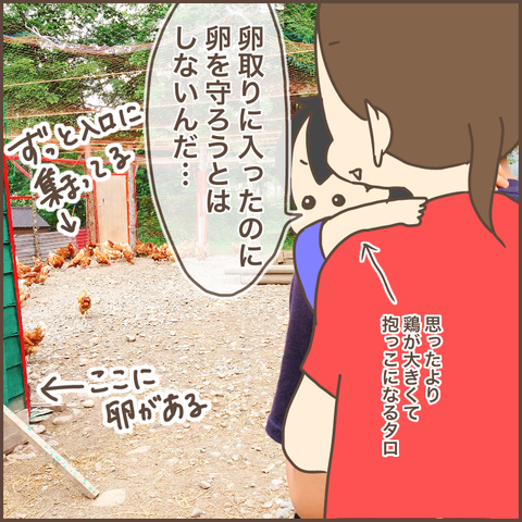 89D0780C-6E7C-45C7-B939-D8A20F6F3756
