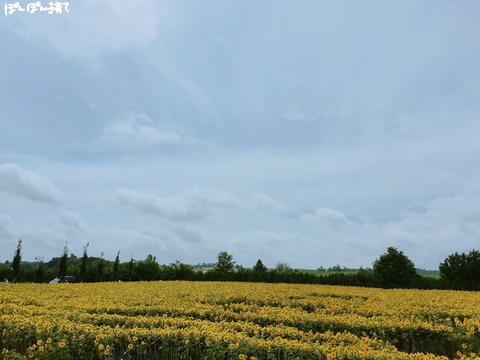 1A2946BD-2DC6-4D20-9357-94EB4AC20FE0